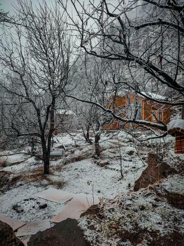 Bed & Breakfast Soilscape Inn, Manali