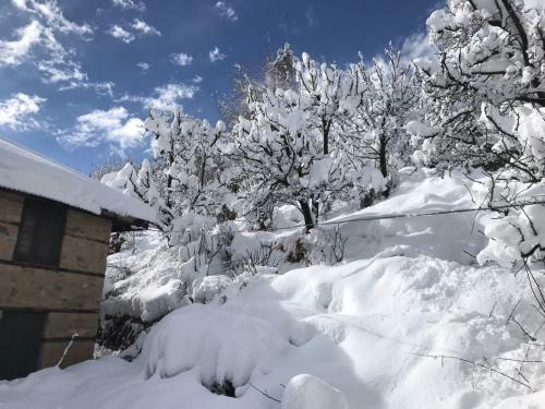 Udaksh House Manali