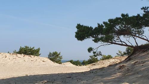 Apartamento Costa Del Hel
