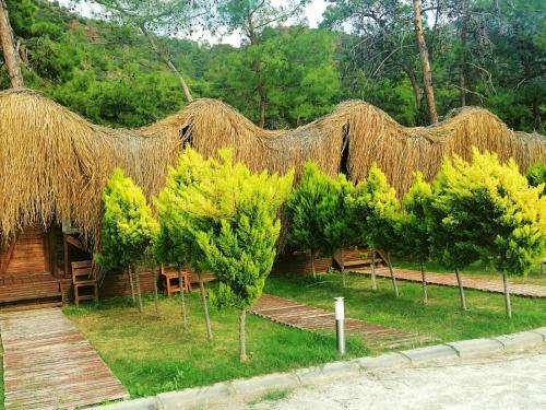 Hotel Green Pine Bungalows & Beach Luxury Concept