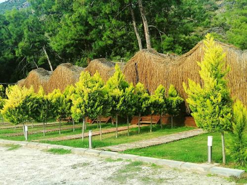 Hotel Green Pine Bungalows & Beach Luxury Concept