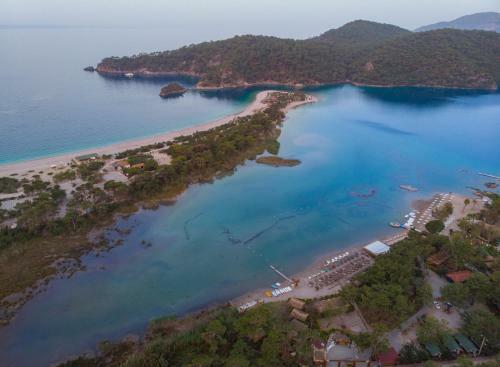 Hotel Green Pine Bungalows & Beach Luxury Concept