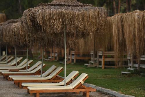 Hotel Green Pine Bungalows & Beach Luxury Concept