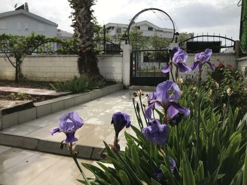 Apartamento Ferienwohnung/villa Side Inkl. Pool,grill,garten Uvm...