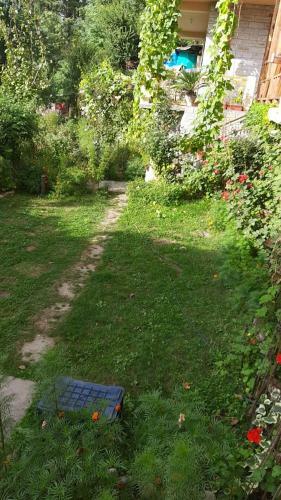 Chander Lata Cottage