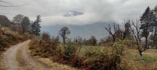 Chander Lata Cottage