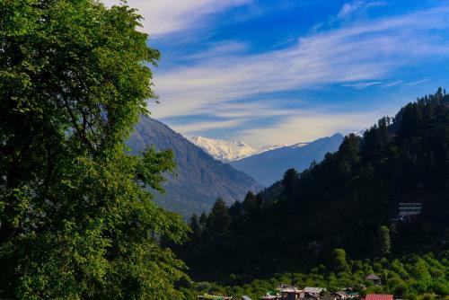 Robinhood Travel Hostel