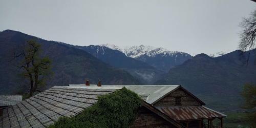 Robinhood Travel Hostel