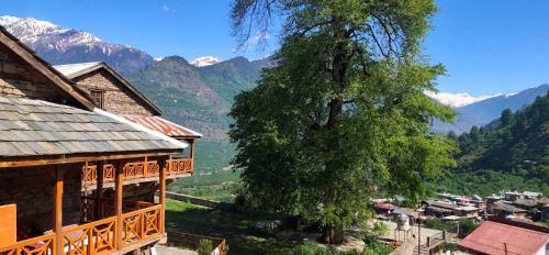 Robinhood Travel Hostel