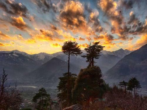 Rustling Pines Cottage Manali