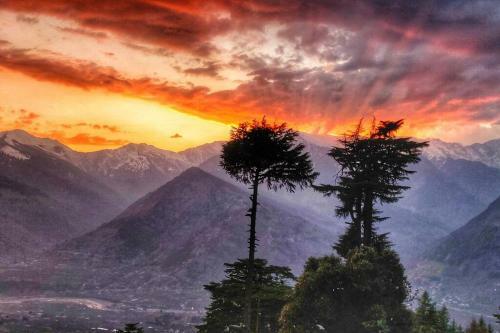 Rustling Pines Cottage Manali