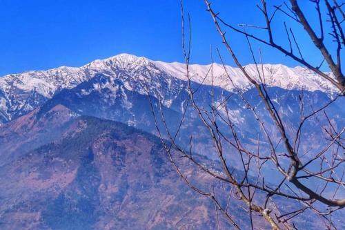 Rustling Pines Cottage Manali