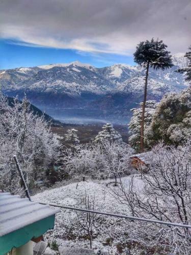 Rustling Pines Cottage Manali