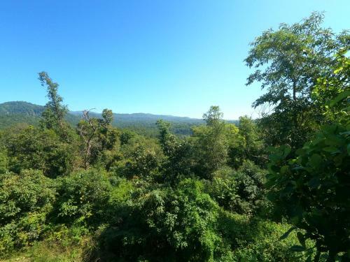 Green Acres Homestay