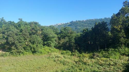 Green Acres Homestay