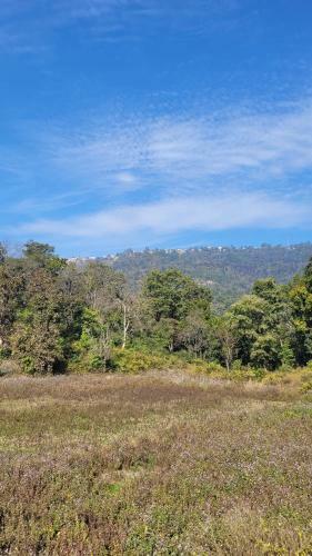 Green Acres Homestay