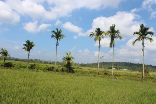 Agroturismo Wayal Wayanad Farm Resort