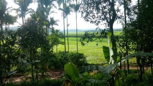 Agroturismo Wayal Wayanad Farm Resort