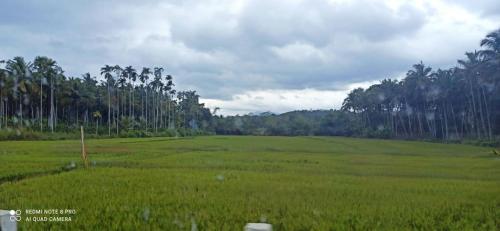 Agroturismo Wayal Wayanad Farm Resort