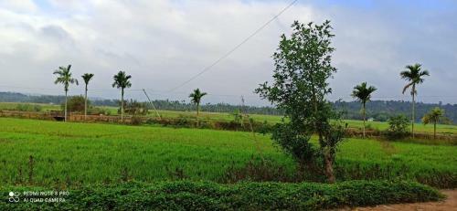Agroturismo Wayal Wayanad Farm Resort