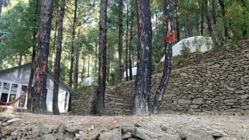 Bugyal Stays Uttarakhand