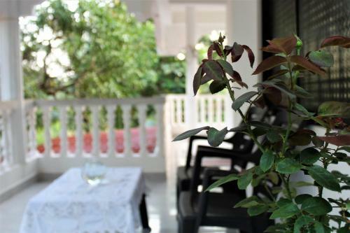 Sai Home Stays