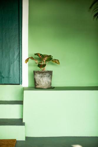 Hotel Casa Jaali