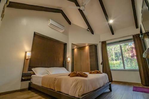 Leisurely Olivia, Panchgani
