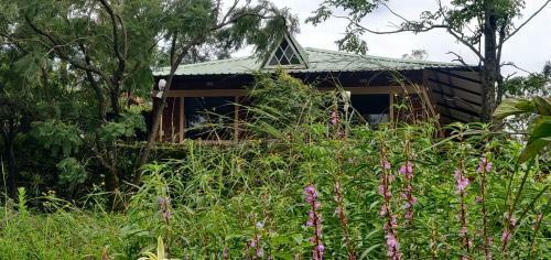 Hostal Silvermist Cottage