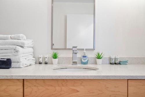 Little Havana 1 Bedroom Apartments