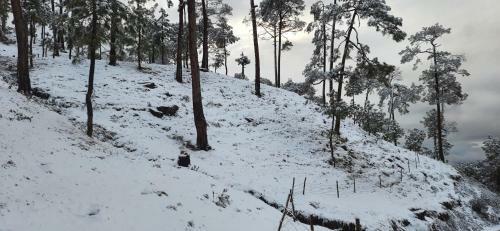 Hotel The Ranikhet Continental