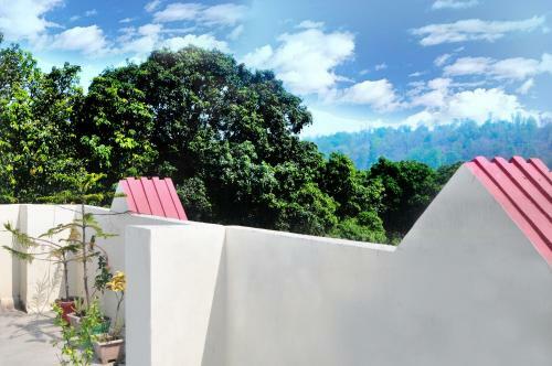 Choudhary Mansion
