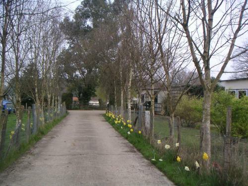 Bed & Breakfast Woodgate Farm