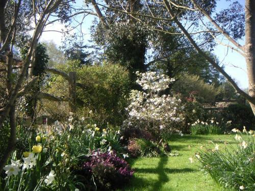 Bed & Breakfast Woodgate Farm
