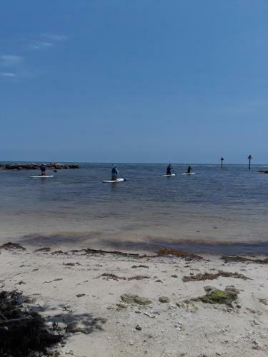 Ocean Oasis At Ocean Pointe