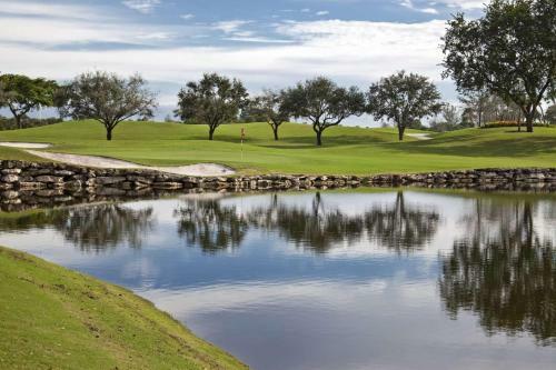 Saddlebrook Unit 3130 - Lakeview Oasis