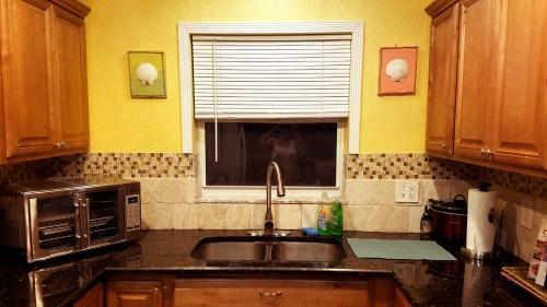 Hidden Oasis