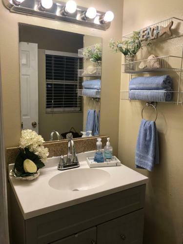 Caribbean Splendor Vacation Home Tampa Fl