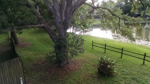 Tampa Lakehouse