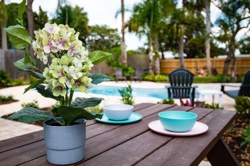 The Island Oasis