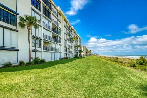 Sand Dollar #205