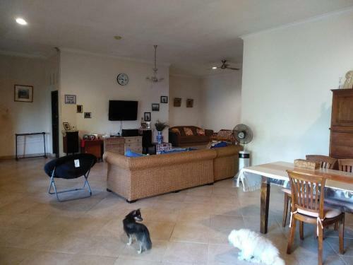 Casa 8 Holiday House