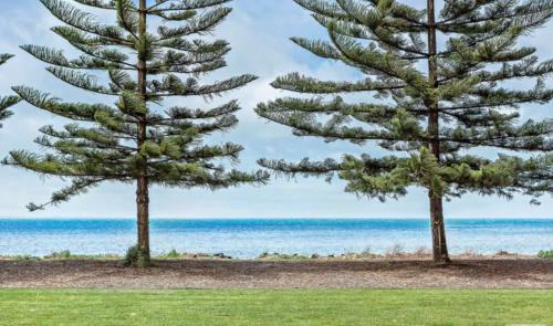 Luxury Beachfront Apartment At The Breeze - Free Wifi
