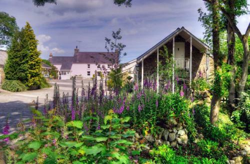Penbontbren Luxury Bed And Breakfast