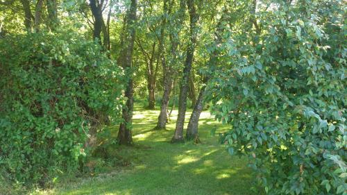 Hostal Glen Lodge