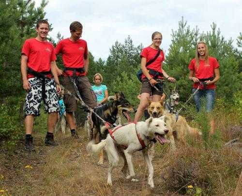 Alevi Camping