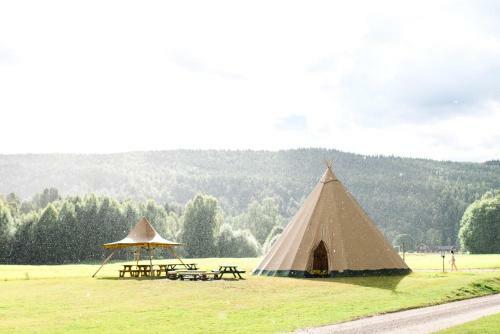Alevi Camping