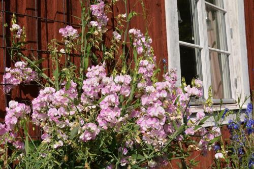 Lillstugan, S�dra Bergslagen
