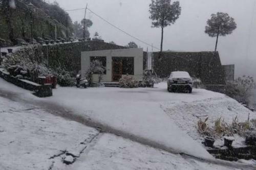 Entire Apartment , Near Kasauli Nature View
