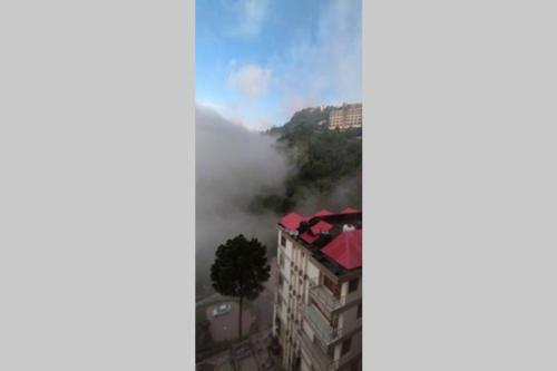Entire Apartment , Near Kasauli Nature View
